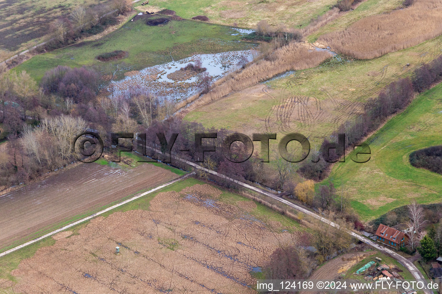 Billigheimer Bruch, flooded biotope at the Flutgraben/Erlenbach in Barbelroth in the state Rhineland-Palatinate, Germany