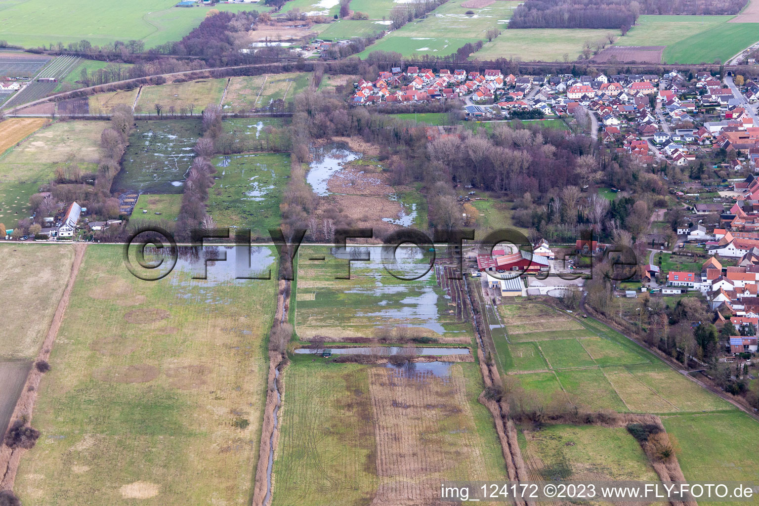 Flooded flood ditch/Erlenbach at the washing mill in Billigheim-Ingenheim in the state Rhineland-Palatinate, Germany