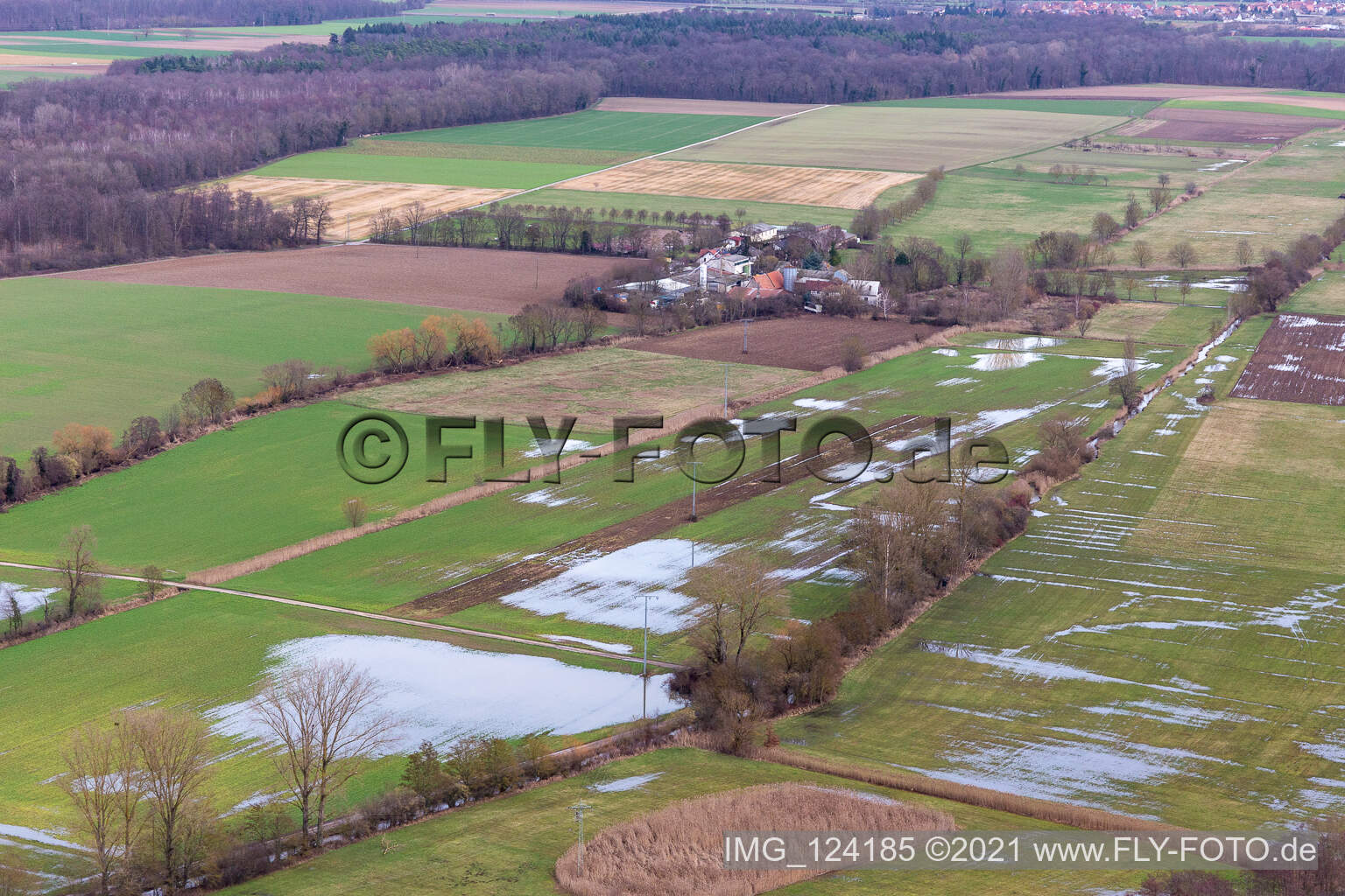 Flooded Bruchgraben, Buschurgraben, Floodgraben, Erlenbach in Steinweiler in the state Rhineland-Palatinate, Germany