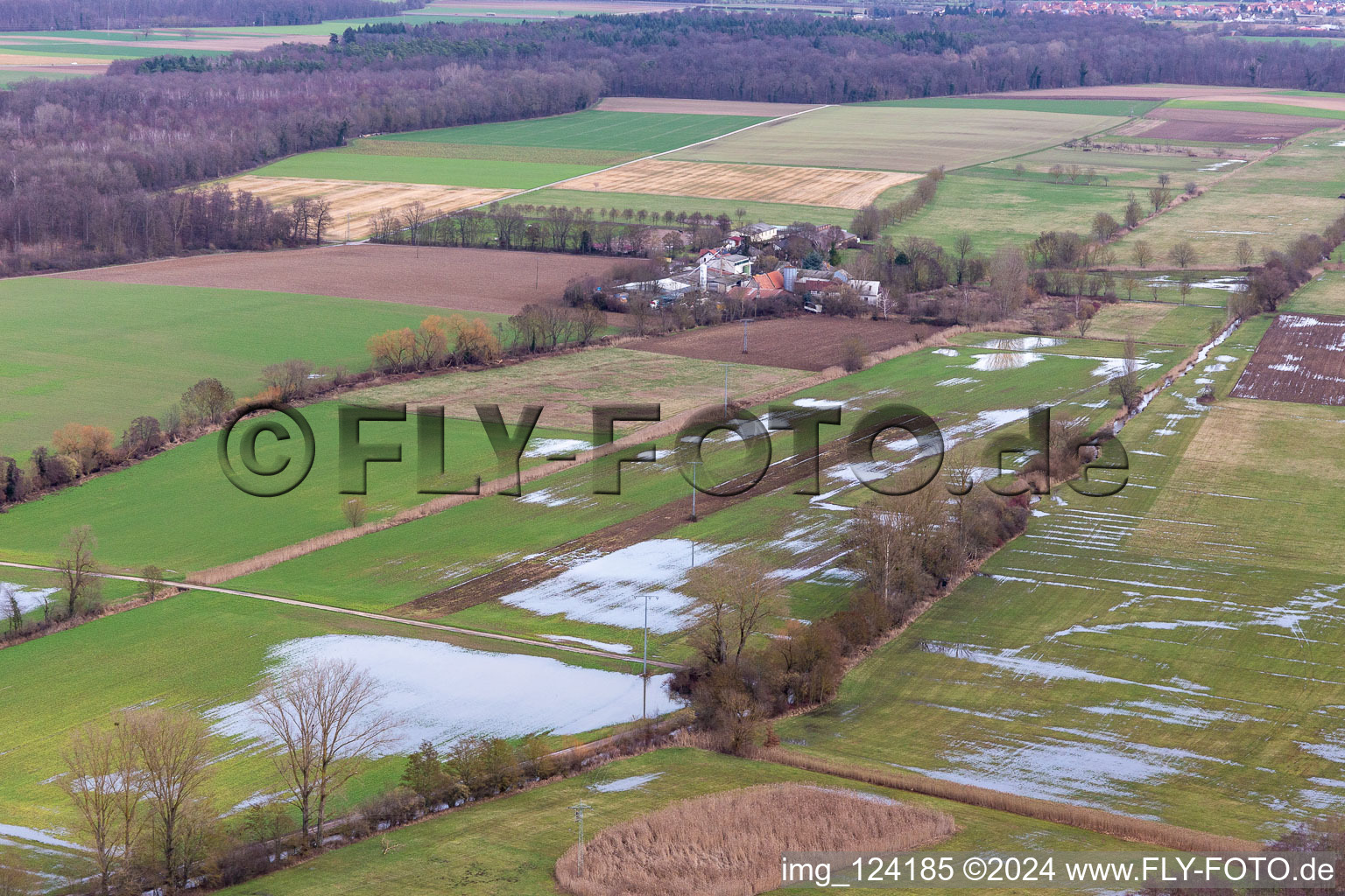 Flooded Bruchgraben, Buschurgraben, Flutgraben, Erlenbach in Steinweiler in the state Rhineland-Palatinate, Germany