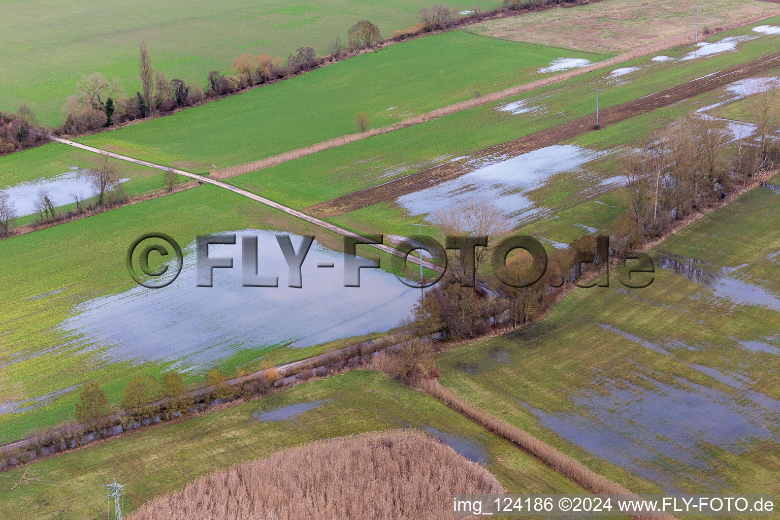 Aerial view of Flooded Bruchgraben, Buschurgraben, Floodgraben, Erlenbach in Steinweiler in the state Rhineland-Palatinate, Germany