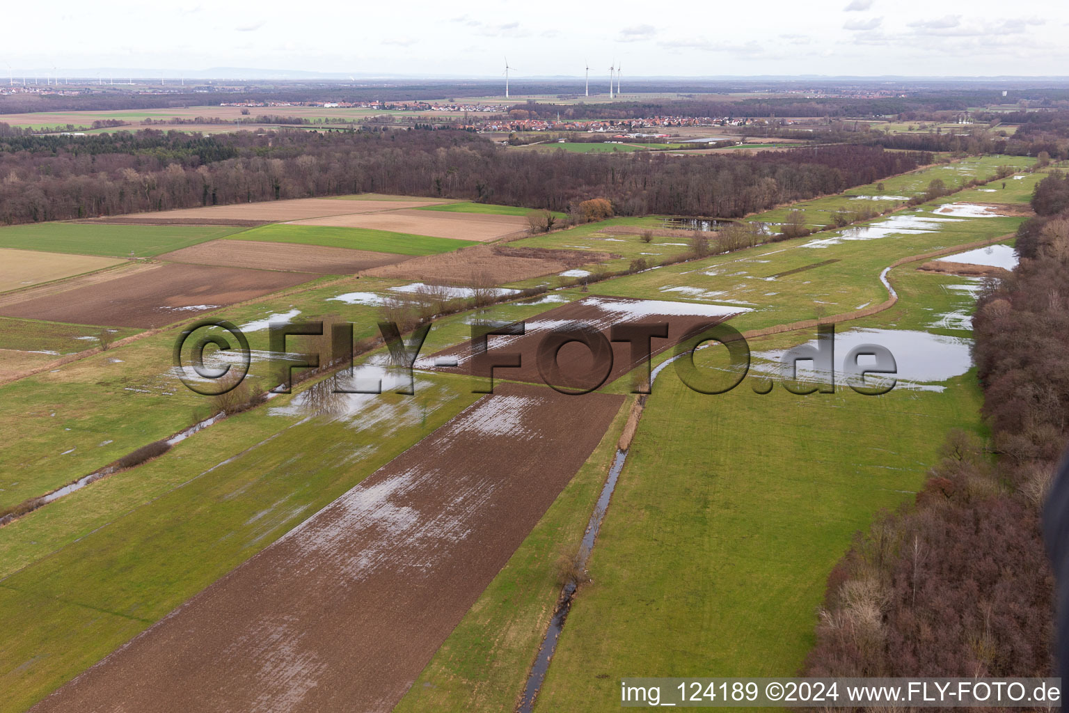 Flooded Bruchgraben, Buschurgraben, Flutgraben, Erlenbach in Steinweiler in the state Rhineland-Palatinate, Germany from above