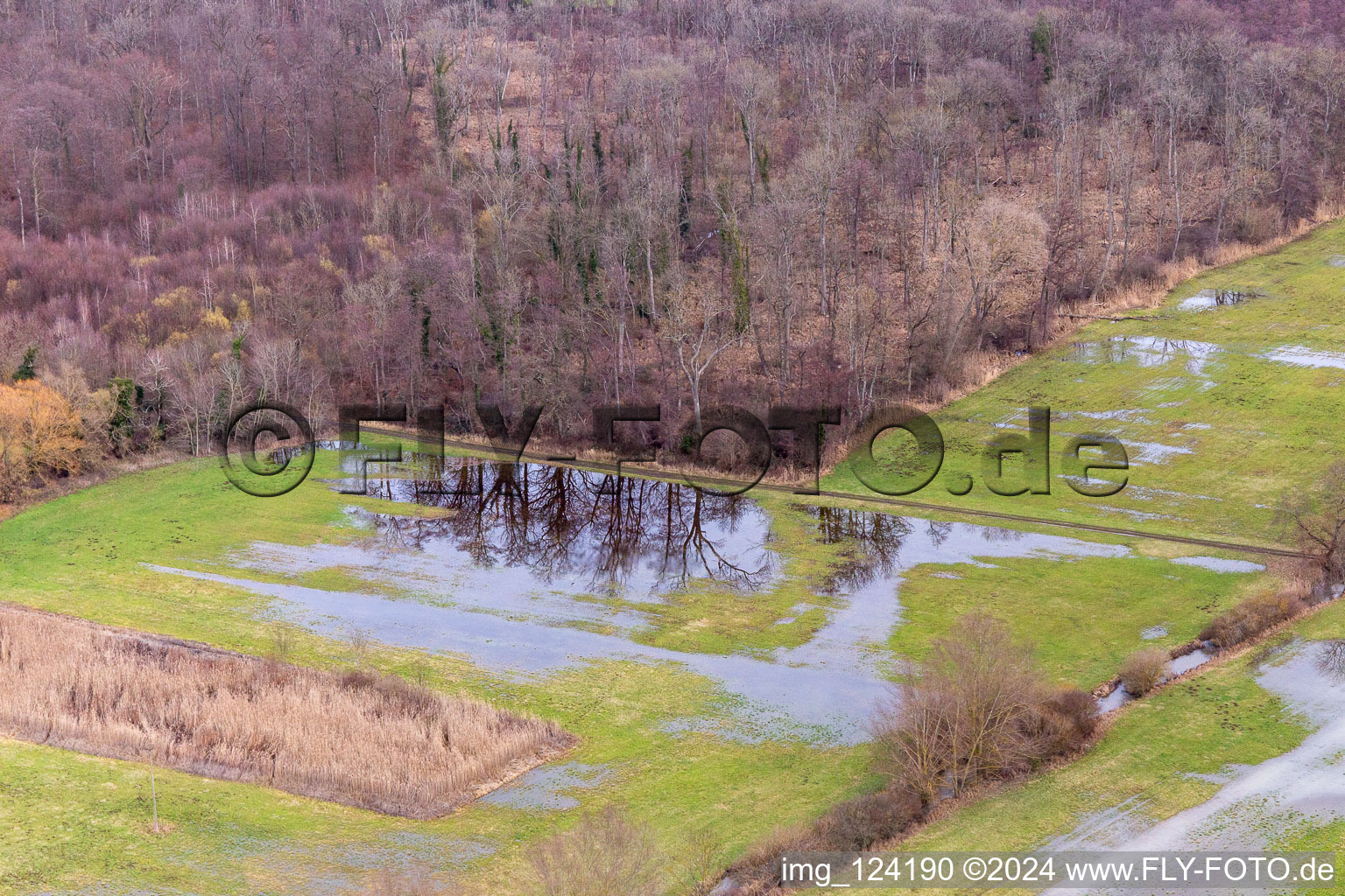 Flooded farmer's ditch, flood ditch in Steinweiler in the state Rhineland-Palatinate, Germany