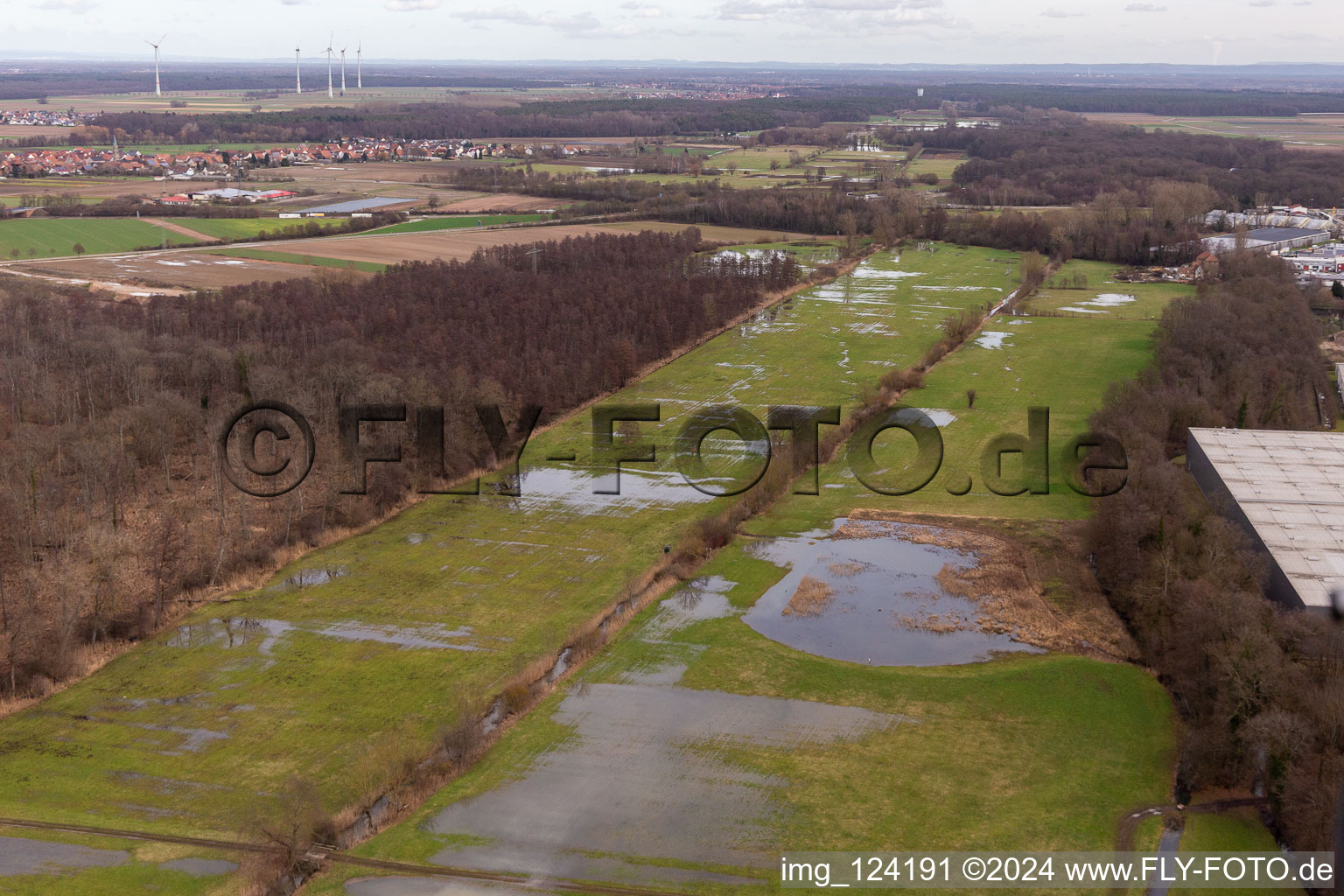 Flooded Bauerngraben, Flutgraben, Erlenbach in the district Minderslachen in Kandel in the state Rhineland-Palatinate, Germany