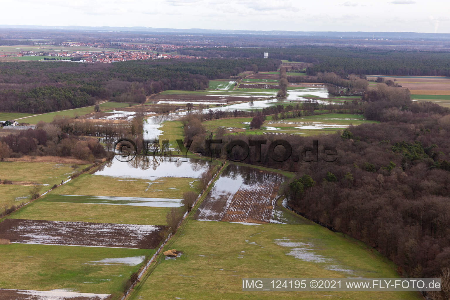 Flooded Mühlgraben, Birnbach, Erlenbach in Erlenbach bei Kandel in the state Rhineland-Palatinate, Germany