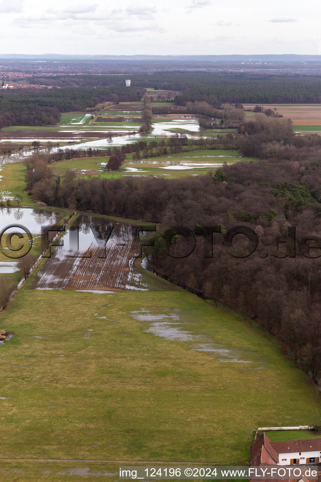 Riparian areas and flooded flood meadows of Polder Neupotz due to a river bed leading to flood levels of the Rhine river in Neupotz in the state Rhineland-Palatinate, Germany