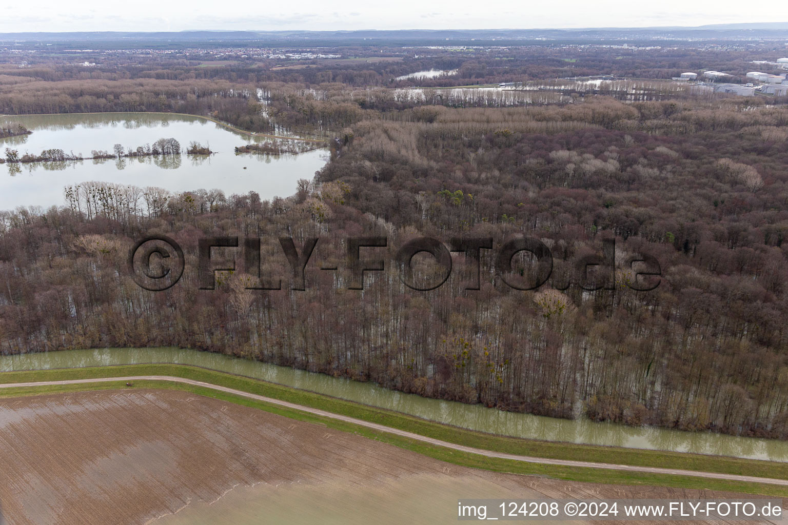 Flooded Old Rhine / Neupotz Polder in Wörth am Rhein in the state Rhineland-Palatinate, Germany