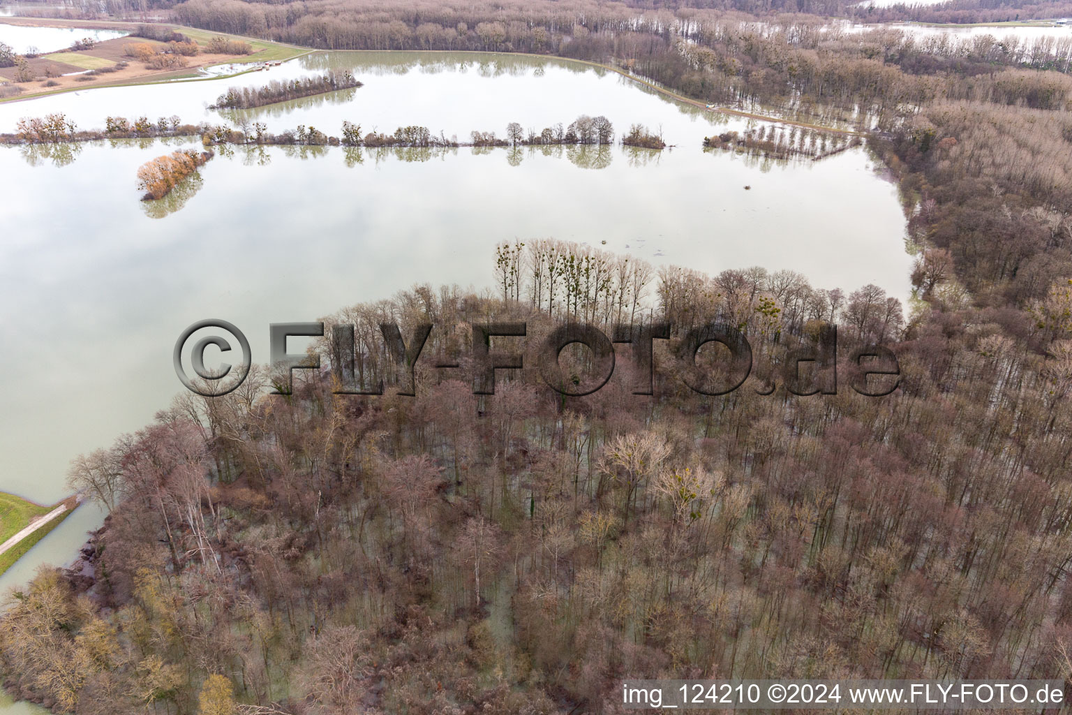 Aerial view of Flooded Old Rhine / Polder Neupotz in Wörth am Rhein in the state Rhineland-Palatinate, Germany