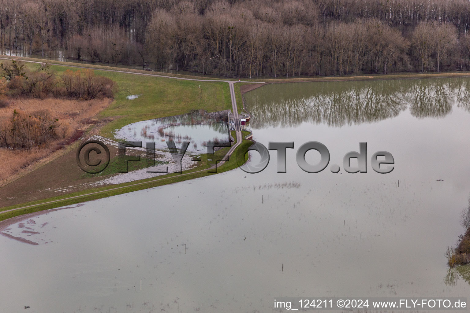 Riparian areas and flooded flood meadows of Polder Neupotz due to a river bed leading to flood levels of the Rhine river in Neupotz in the state Rhineland-Palatinate, Germany