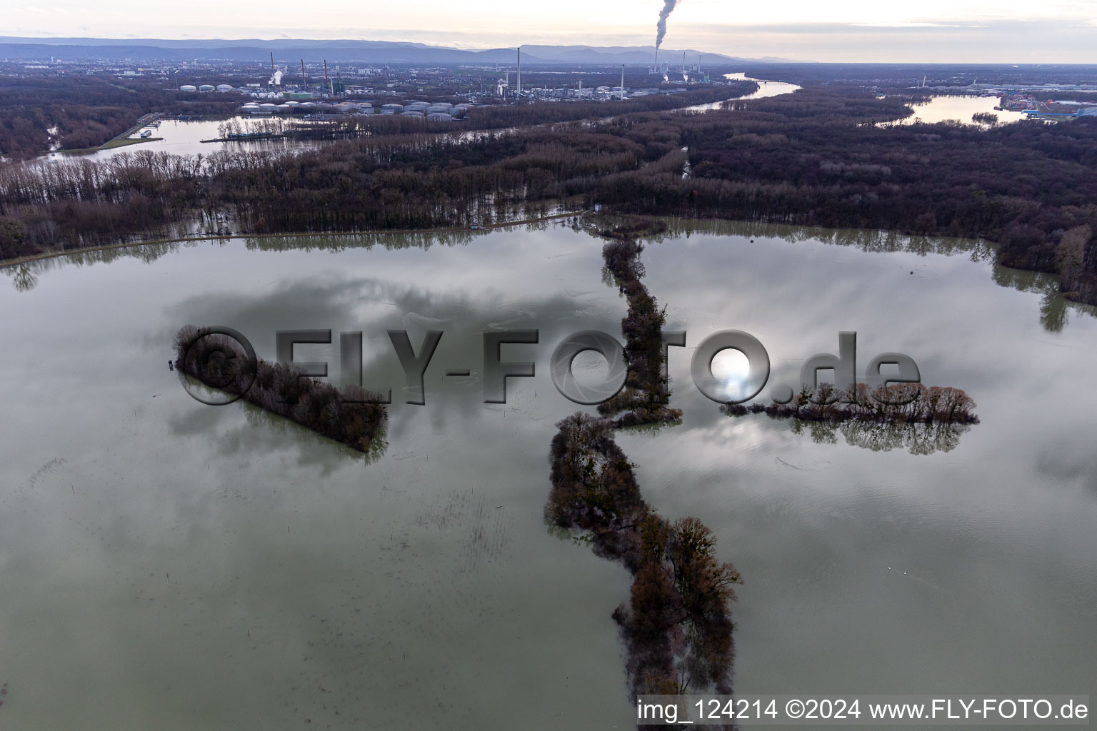 Oblique view of Flooded Old Rhine / Polder Neupotz in Wörth am Rhein in the state Rhineland-Palatinate, Germany