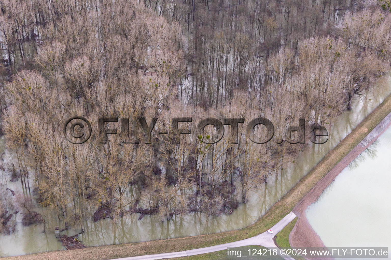 Aerial view of Flooded Old Rhine Hörnel in Wörth am Rhein in the state Rhineland-Palatinate, Germany