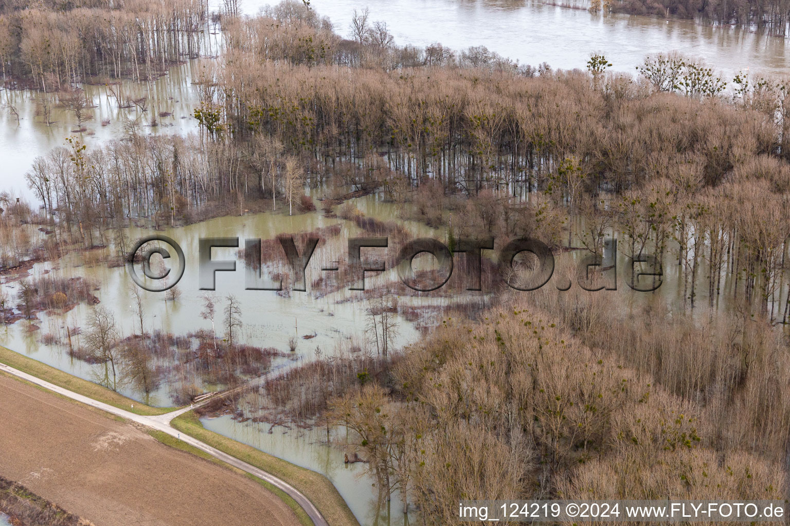 Flooded Rhine meadows in Neupotz in the state Rhineland-Palatinate, Germany