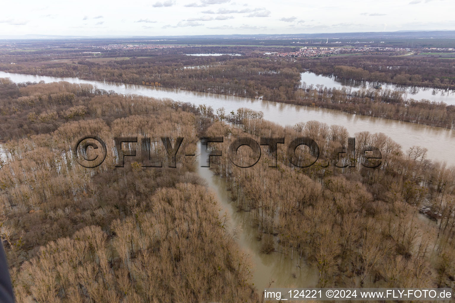 Flooded Rhine meadows at the gorge in Neupotz in the state Rhineland-Palatinate, Germany