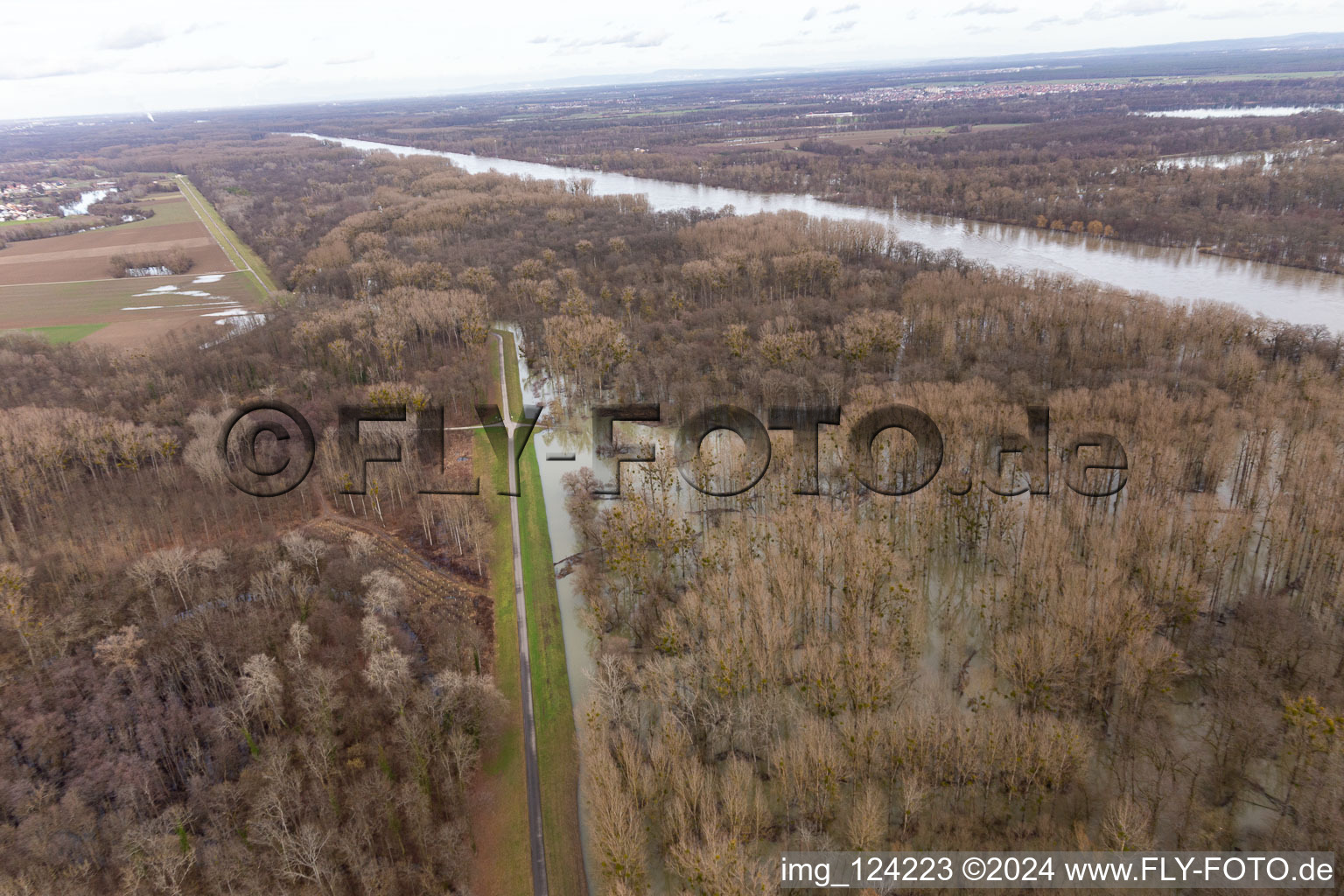 Flooded Rhine meadows at the Rhine dam in Neupotz in the state Rhineland-Palatinate, Germany