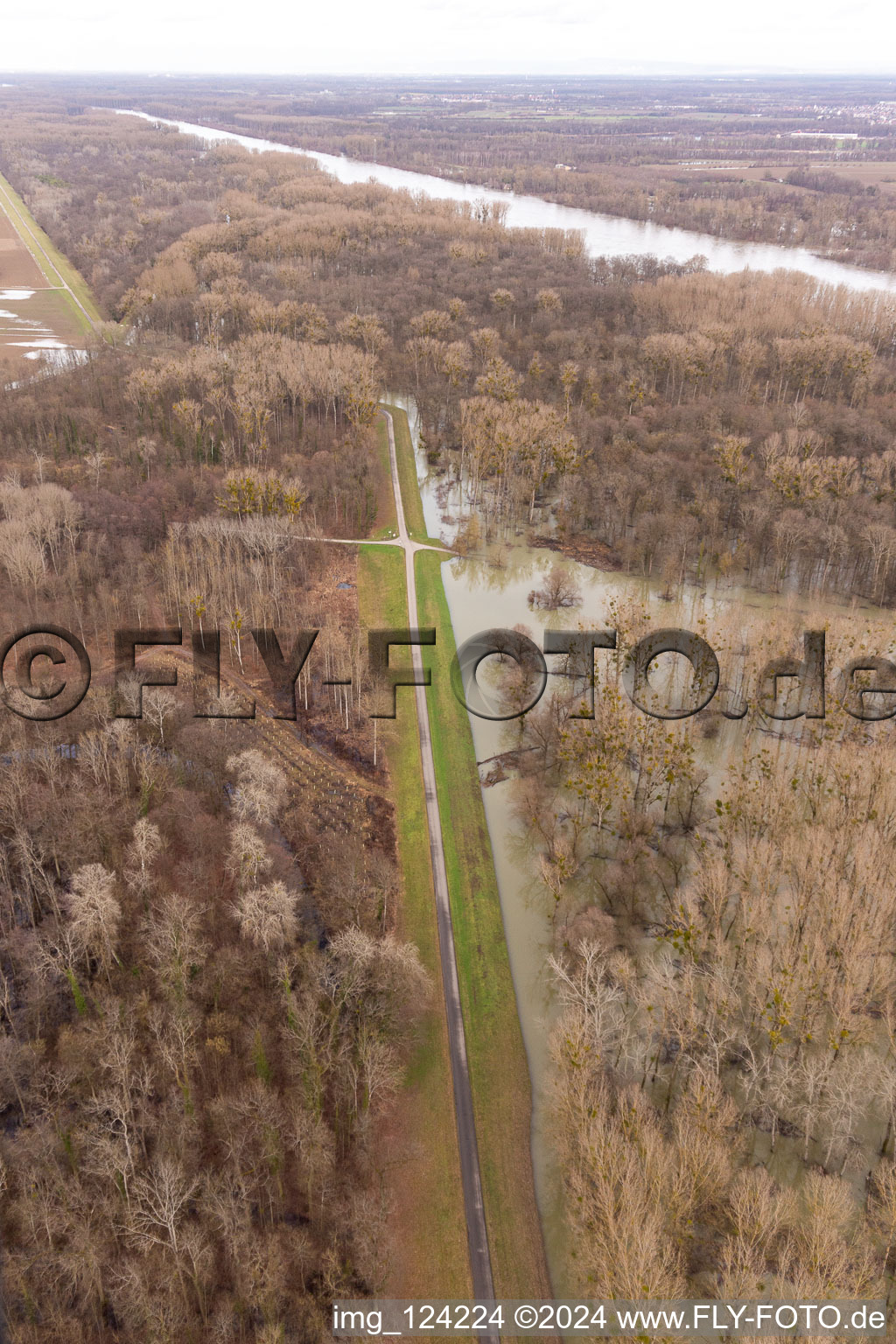 Aerial view of Flooded Rhine meadows at the Rhine dam in Neupotz in the state Rhineland-Palatinate, Germany