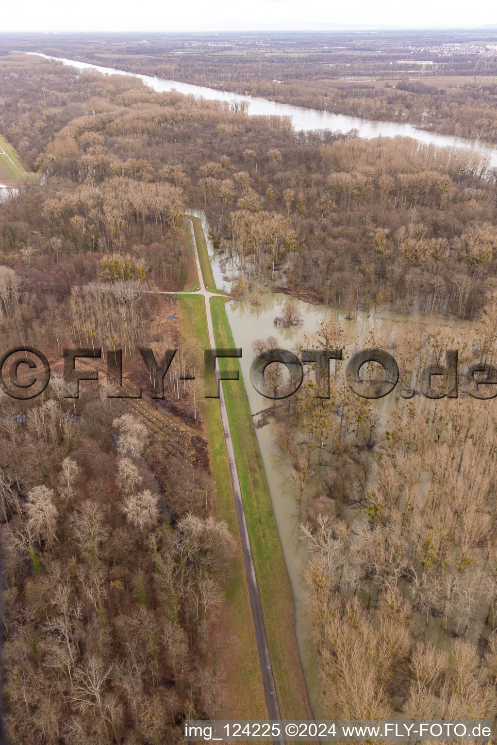 Aerial photograpy of Flooded Rhine floodplains on the Rhine dam in Neupotz in the state Rhineland-Palatinate, Germany