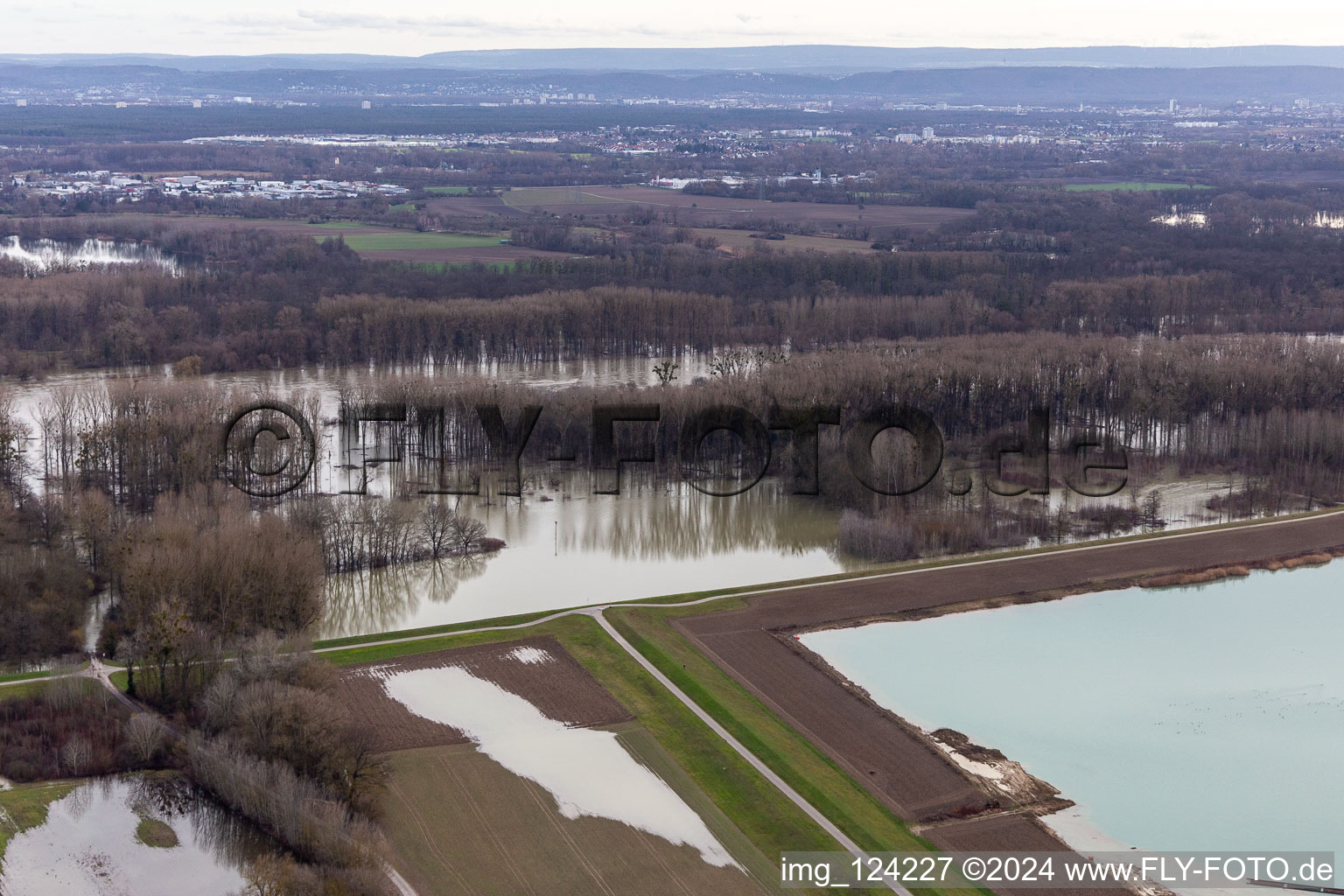 Riparian areas and flooded flood meadows of Polder Neupotz due to a river bed leading to flood levels of the Rhine river in Neupotz in the state Rhineland-Palatinate, Germany