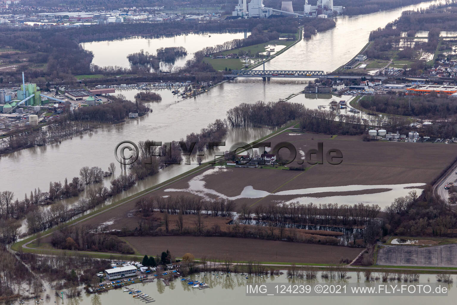 Hofgut Ludwigsau near Rhine floods in the district Maximiliansau in Wörth am Rhein in the state Rhineland-Palatinate, Germany