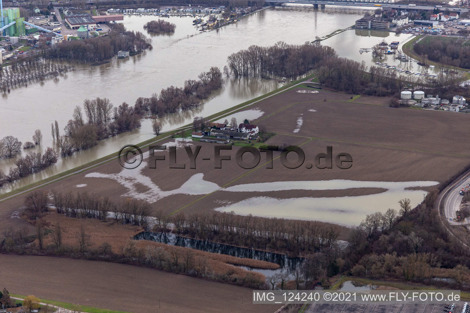 Aerial view of Hofgut Ludwigsau near Rhine floods in the district Maximiliansau in Wörth am Rhein in the state Rhineland-Palatinate, Germany