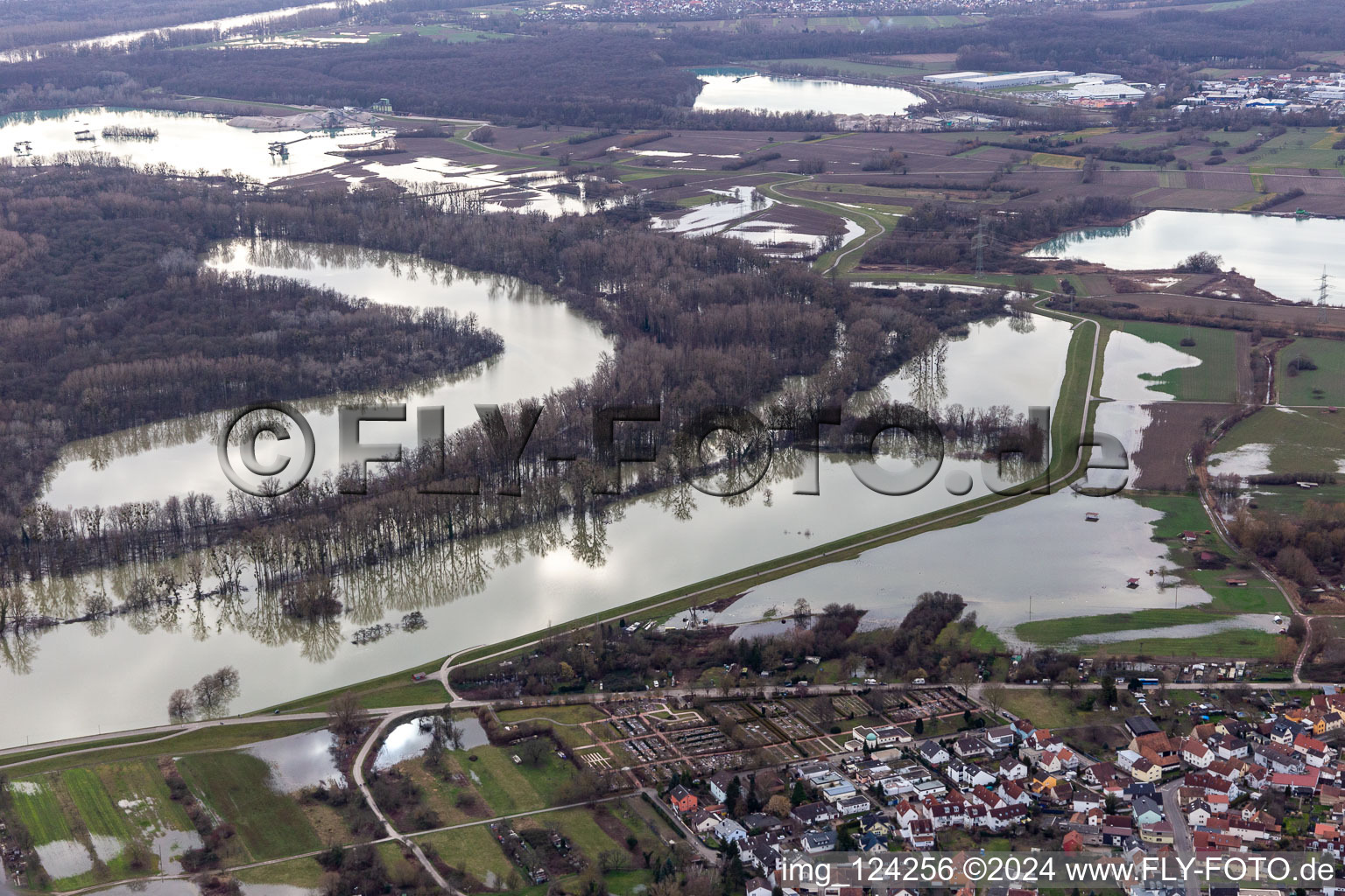 Hagenbacher Altrhein in front of the island of Nauas during flood in the district Maximiliansau in Wörth am Rhein in the state Rhineland-Palatinate, Germany