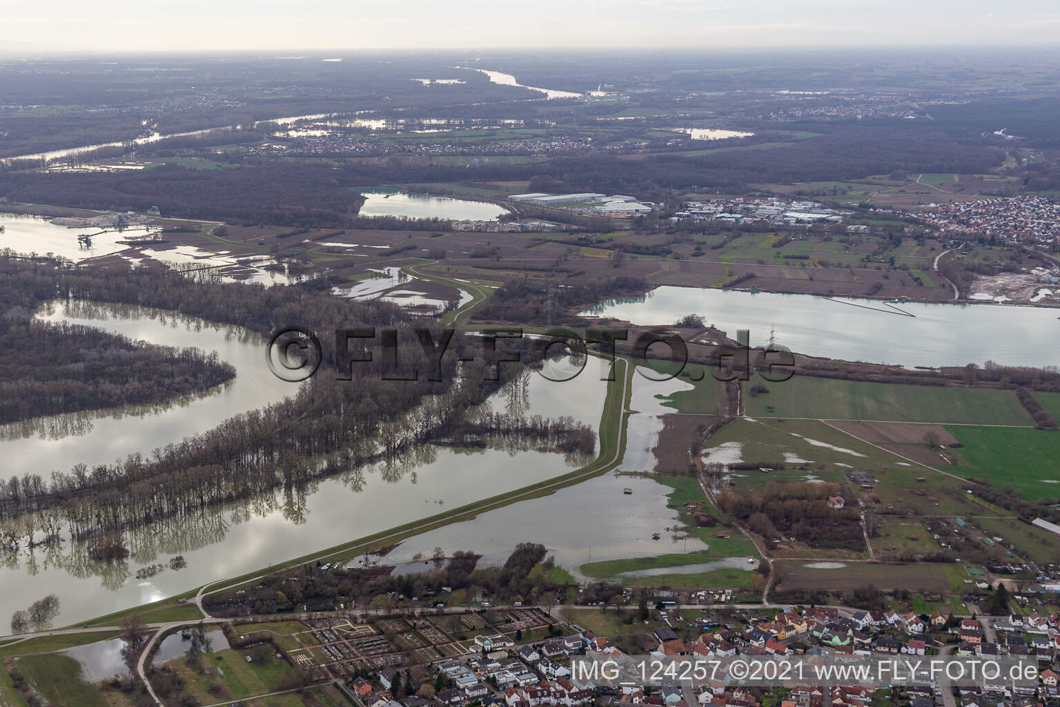 Aerial view of Hagenbacher Altrhein in front of the island of Nauas during flooding in the district Maximiliansau in Wörth am Rhein in the state Rhineland-Palatinate, Germany