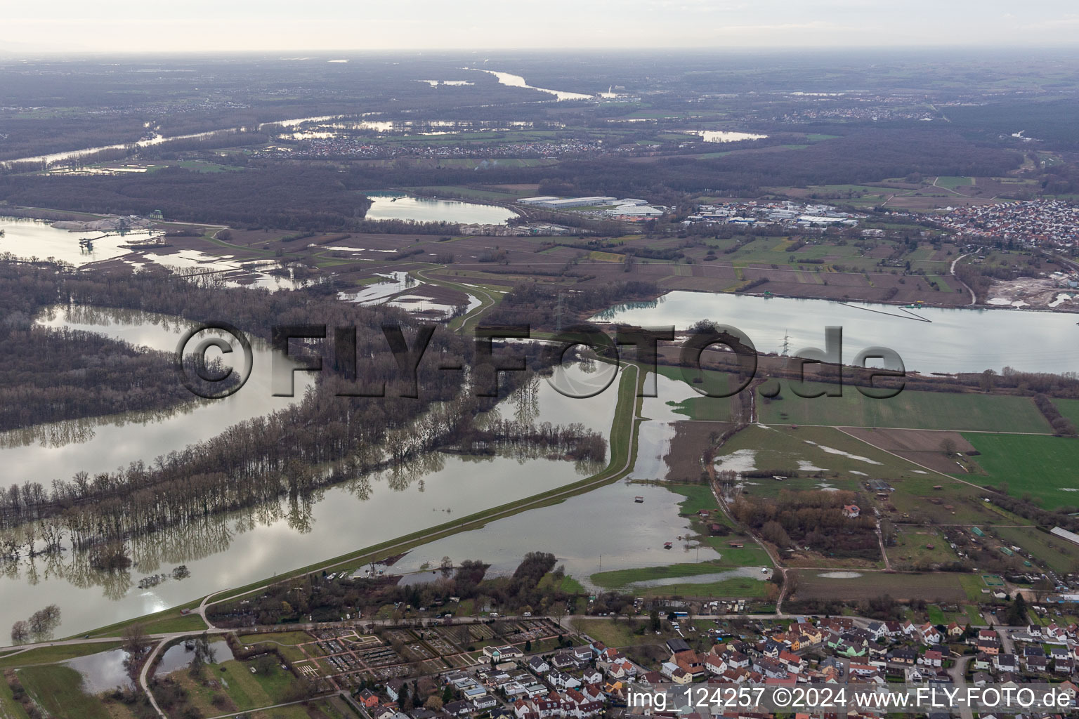 Aerial view of Hagenbacher Altrhein in front of the island of Nauas during flood in the district Maximiliansau in Wörth am Rhein in the state Rhineland-Palatinate, Germany