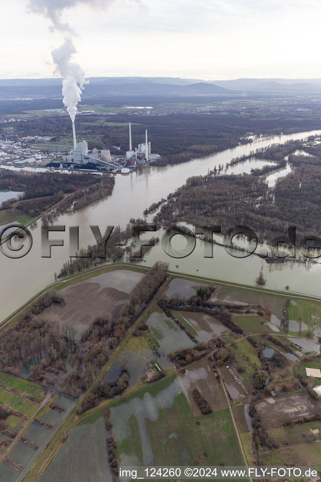 Floodplains and meadows landscape on the old Rhine of Hagenbachin front of the island of Nauas with gold ground when the Rhine floods in Maximiliansau in the state Rhineland-Palatinate, Germany