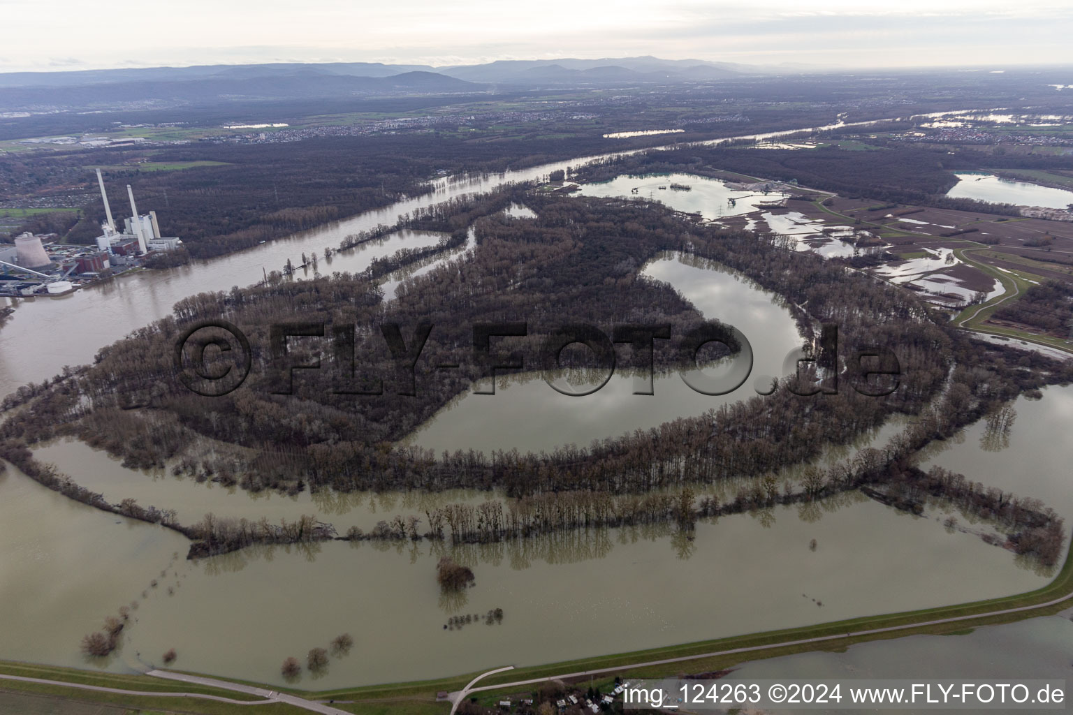 Aerial view of Hagenbacher Altrhein in front of the island of Nauas with gold background during Rhine flood in the district Maximiliansau in Wörth am Rhein in the state Rhineland-Palatinate, Germany