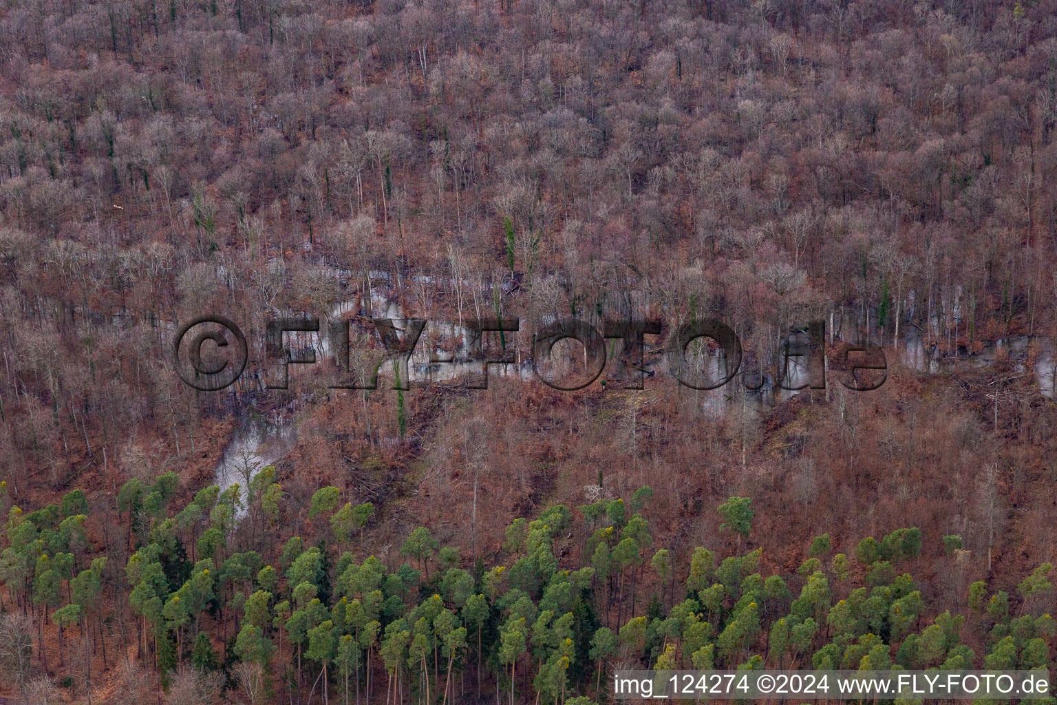 Otterbach loops in the Bienwald in Wörth am Rhein in the state Rhineland-Palatinate, Germany