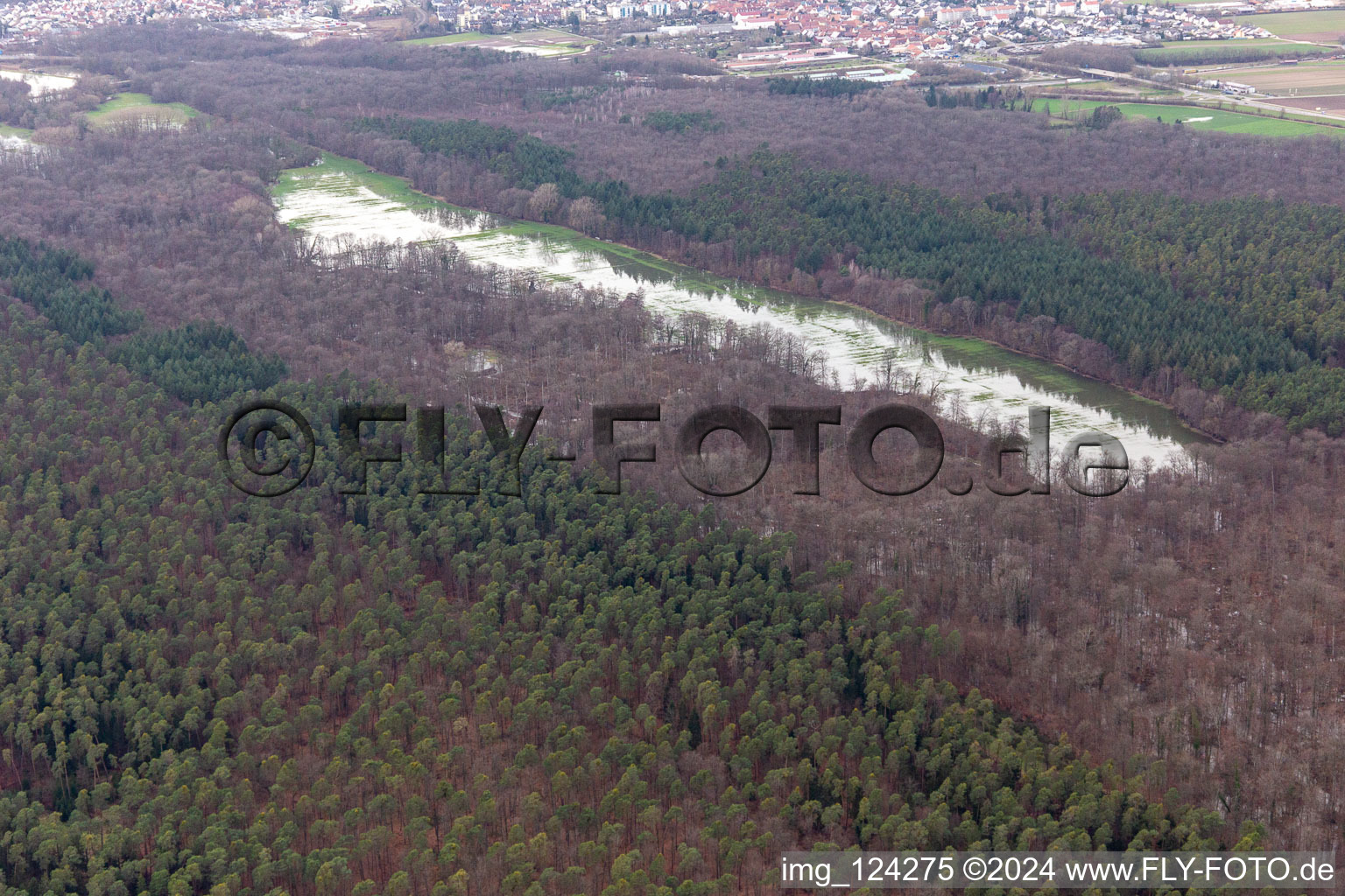 Otterbach with flooded meadows in the Bienwald in Kandel in the state Rhineland-Palatinate, Germany