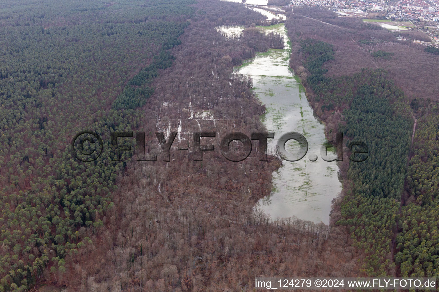 Aerial view of Otterbach with flooded meadows in the Bienwald in Kandel in the state Rhineland-Palatinate, Germany