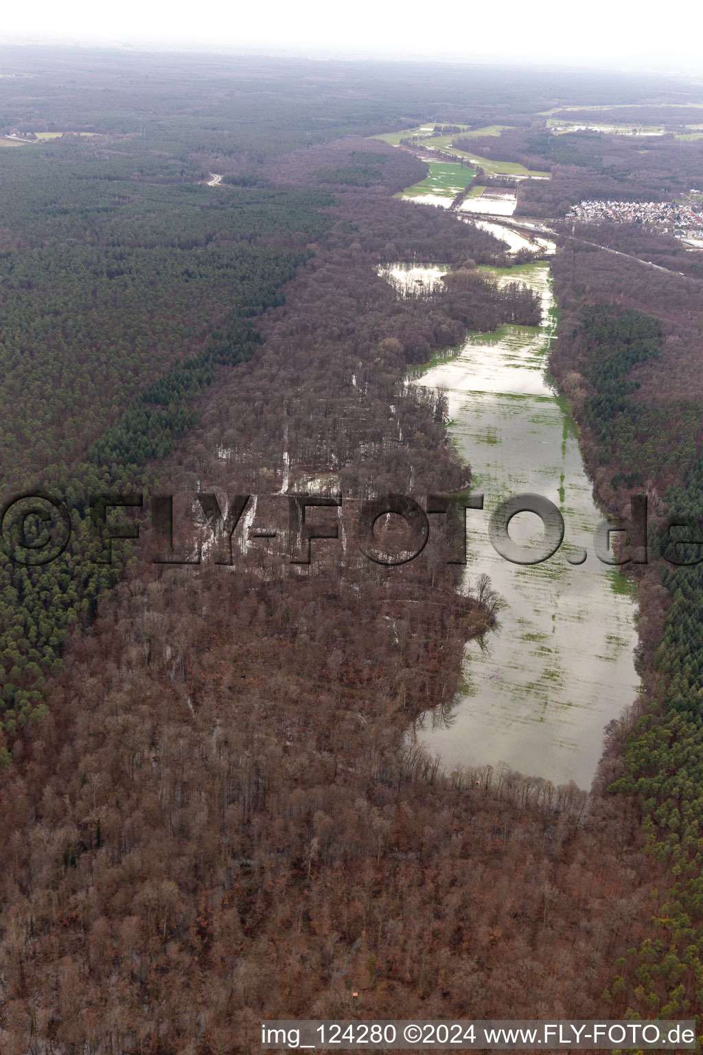 Forest area Bienwald Otterbach with flooded meadows on the A65 in Kandel in the state Rhineland-Palatinate, Germany