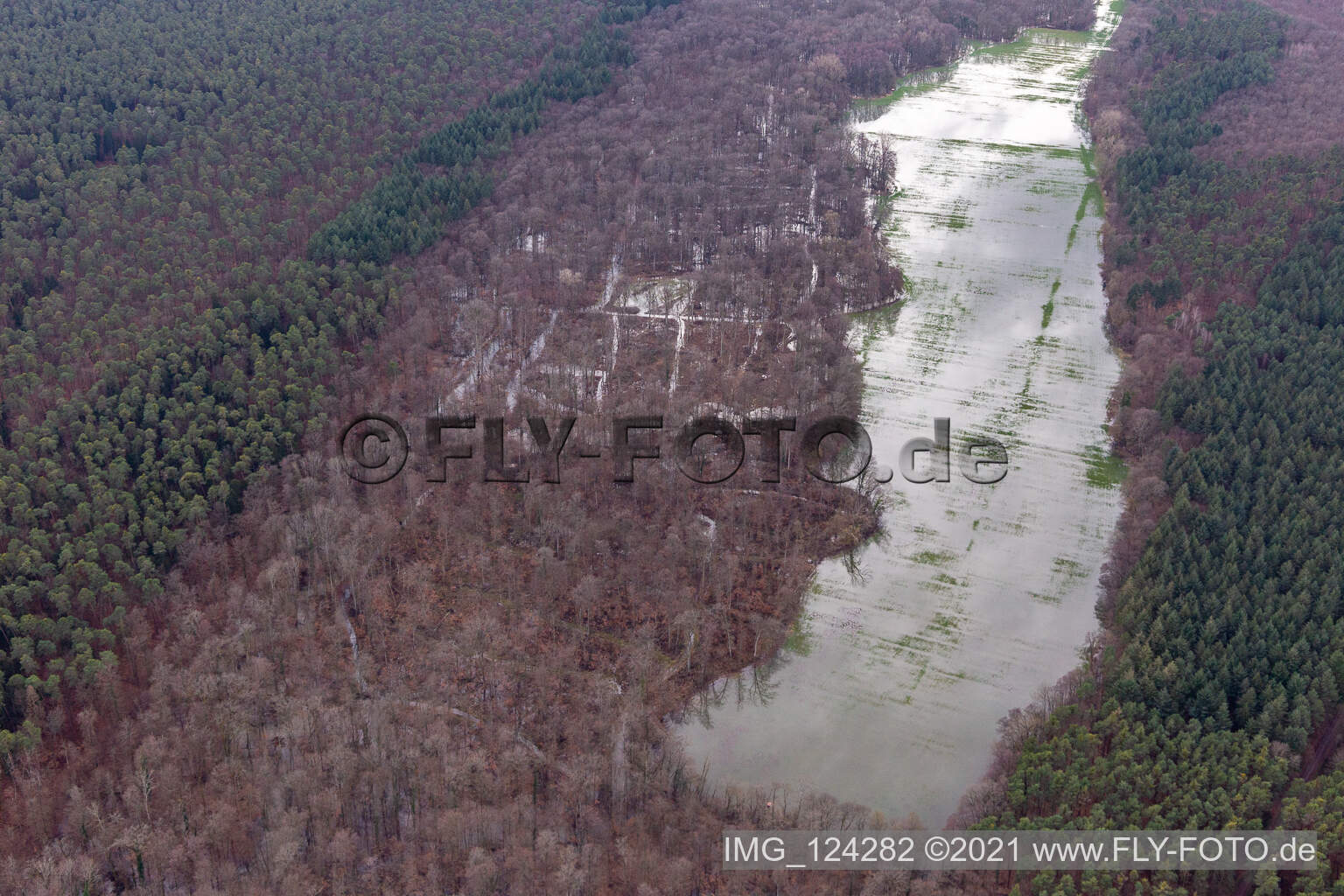 Aerial photograpy of Otterbach with flooded meadows in the Bienwald in Kandel in the state Rhineland-Palatinate, Germany