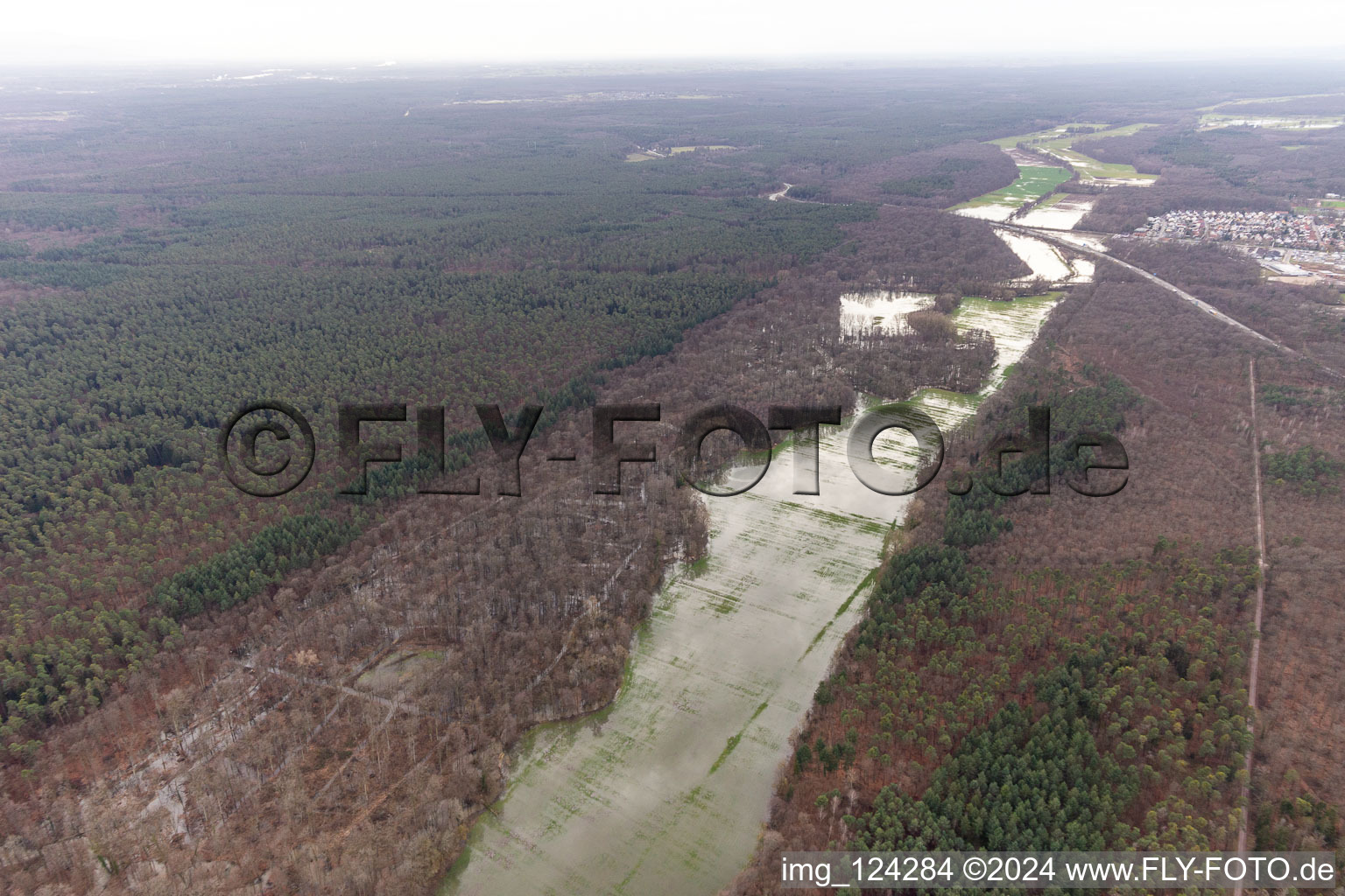 Aerial photograpy of Otterbach with flooded meadows in the Bienwald in Wörth am Rhein in the state Rhineland-Palatinate, Germany