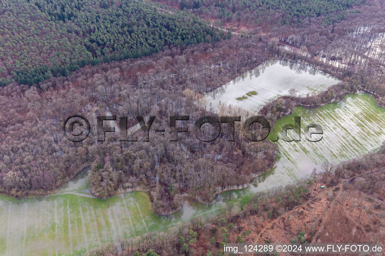 Otterbach and Bruchgraben with flooded meadows in the Bienwald in Wörth am Rhein in the state Rhineland-Palatinate, Germany