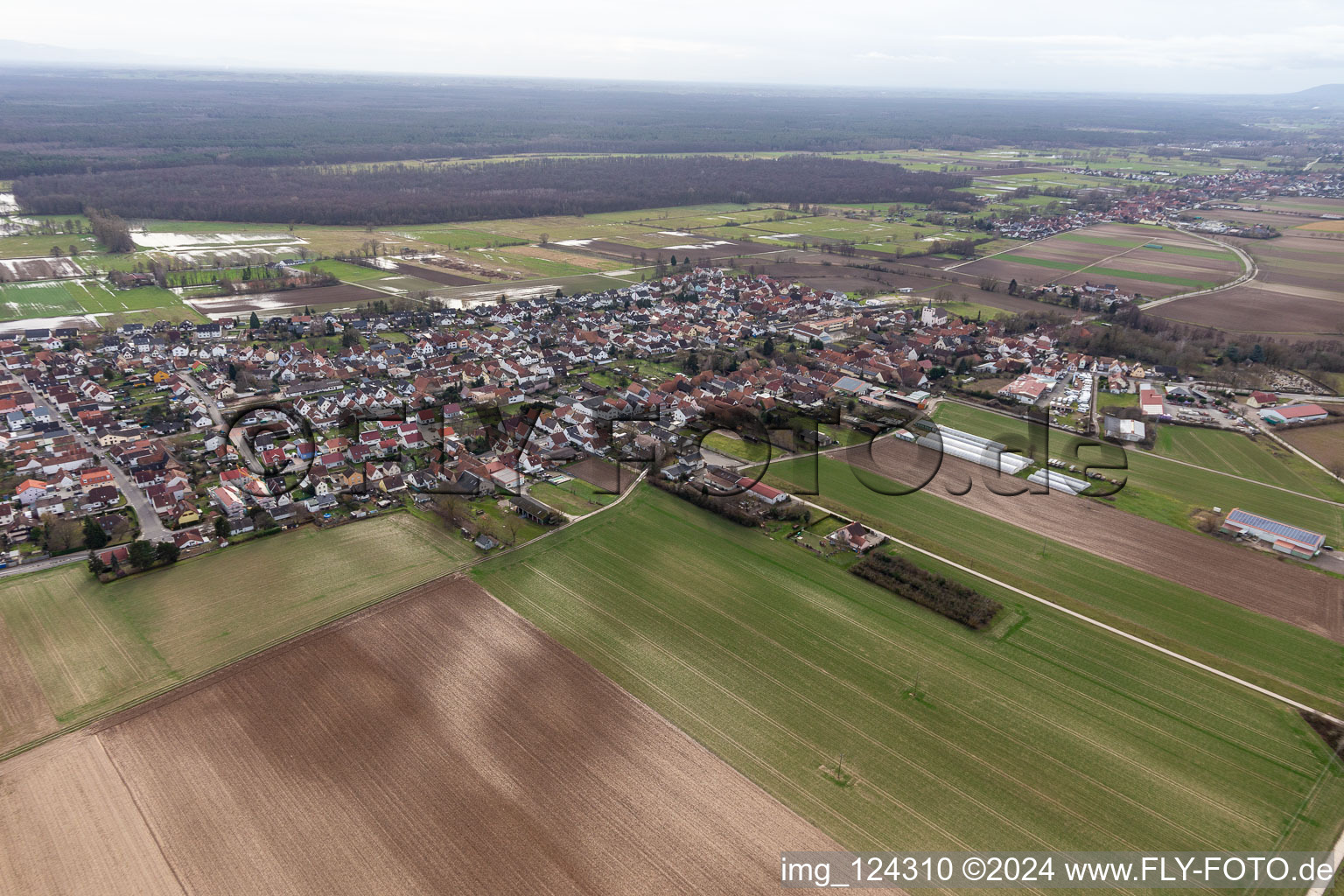 Aerial view of Minfeld in the state Rhineland-Palatinate, Germany