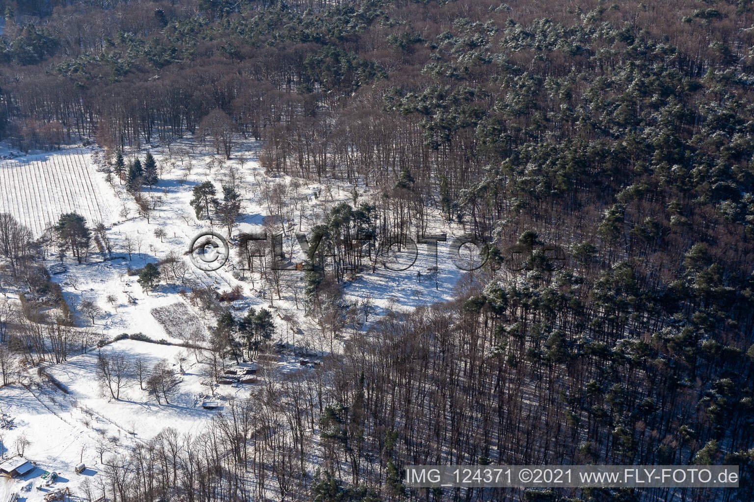 Winter aerial view in the snow of garden plots near the forest in Dörrenbach in the state Rhineland-Palatinate, Germany