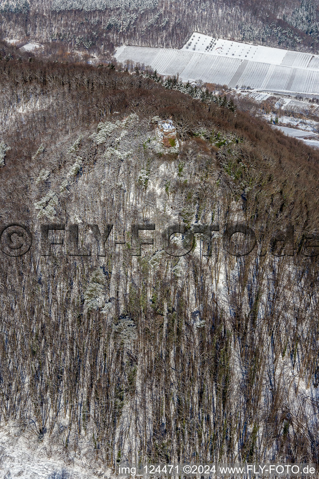 Aerial view of Winter aerial view in the snow of Neukastell Castle in Leinsweiler in the state Rhineland-Palatinate, Germany