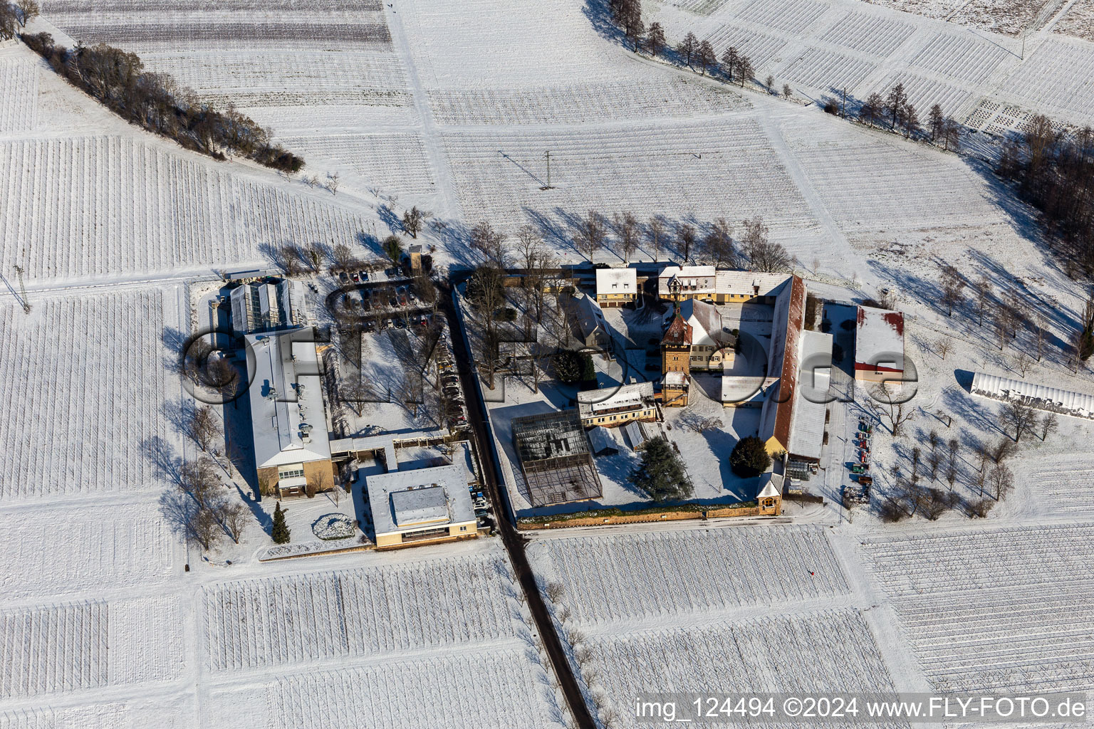 Wintry snowy building complex of the Institute Julius Kuehn Rebforschungsanstalt Geilweilerhof mit bluehenden Mandelbaeumen in Siebeldingen in the state Rhineland-Palatinate, Germany