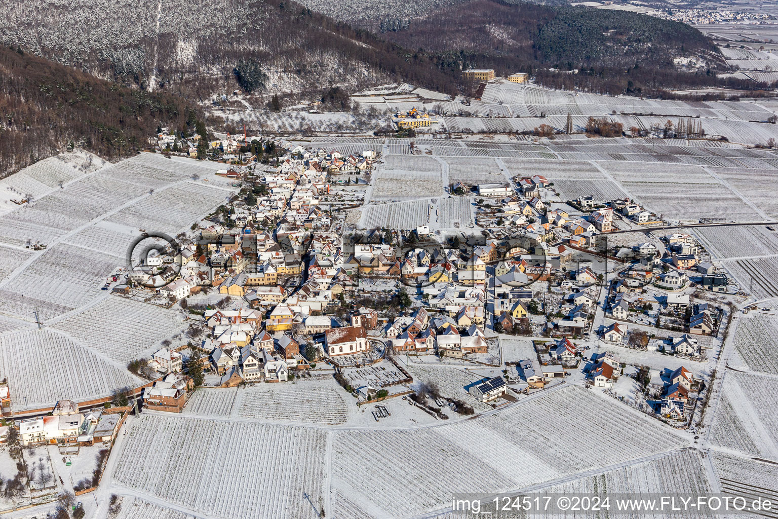 Wintry snowy village on the edge of vineyards and wineries in the wine-growing area in Weyher in der Pfalz in the state Rhineland-Palatinate, Germany