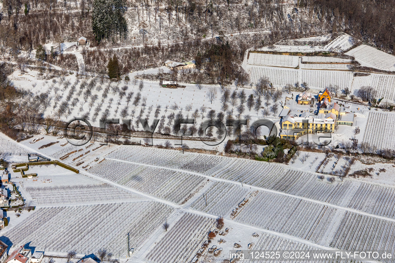 Aerial view of Wintry snowy complex of the hotel building Wohlfuehlhotel Alte Rebschule and Gasthaus Sesel in springtime in Rhodt unter Rietburg in the state Rhineland-Palatinate, Germany