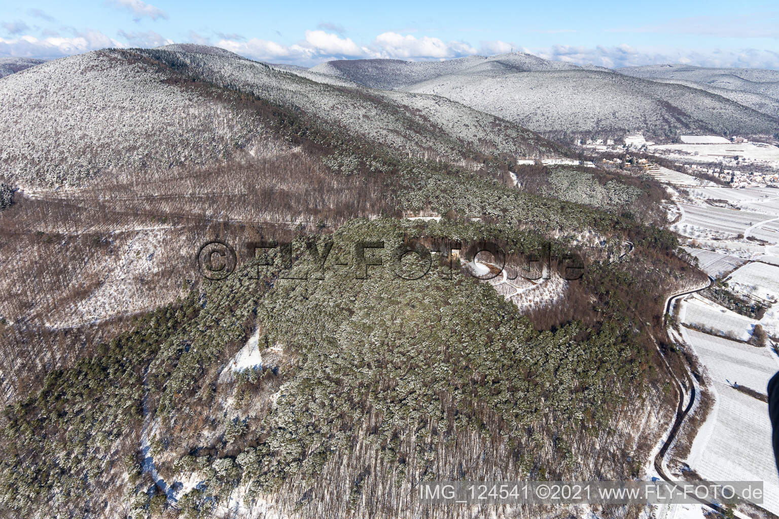 Winter aerial view in the snow of the Victory and Peace Monument in Edenkoben in the state Rhineland-Palatinate, Germany