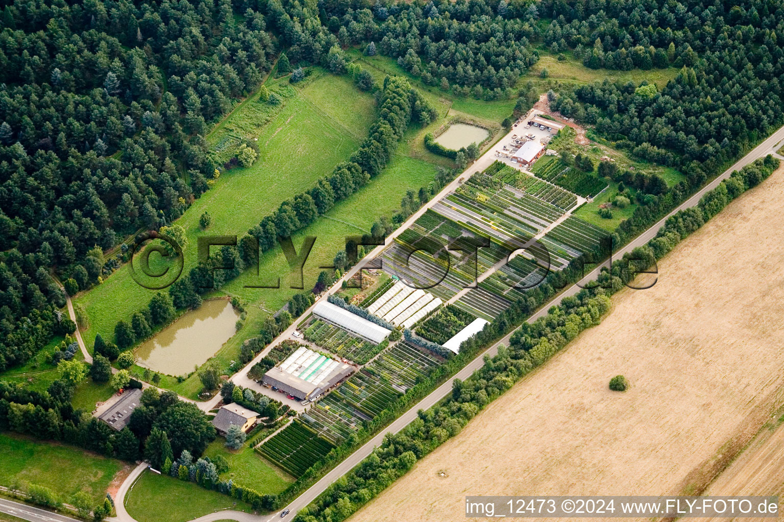 Building and greenhouses of Store plant market PflanzenOase Jansen with Rhododendron-parc in the district Langensteinbach in Karlsbad in the state Baden-Wurttemberg