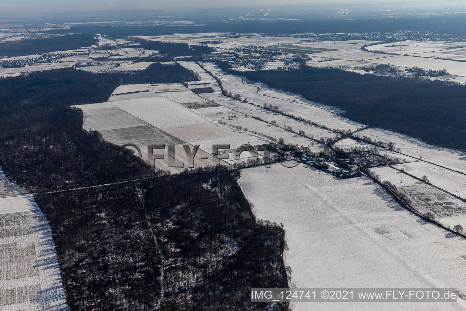 Winter aerial view in snow Palatino Ranch in Steinweiler in the state Rhineland-Palatinate, Germany