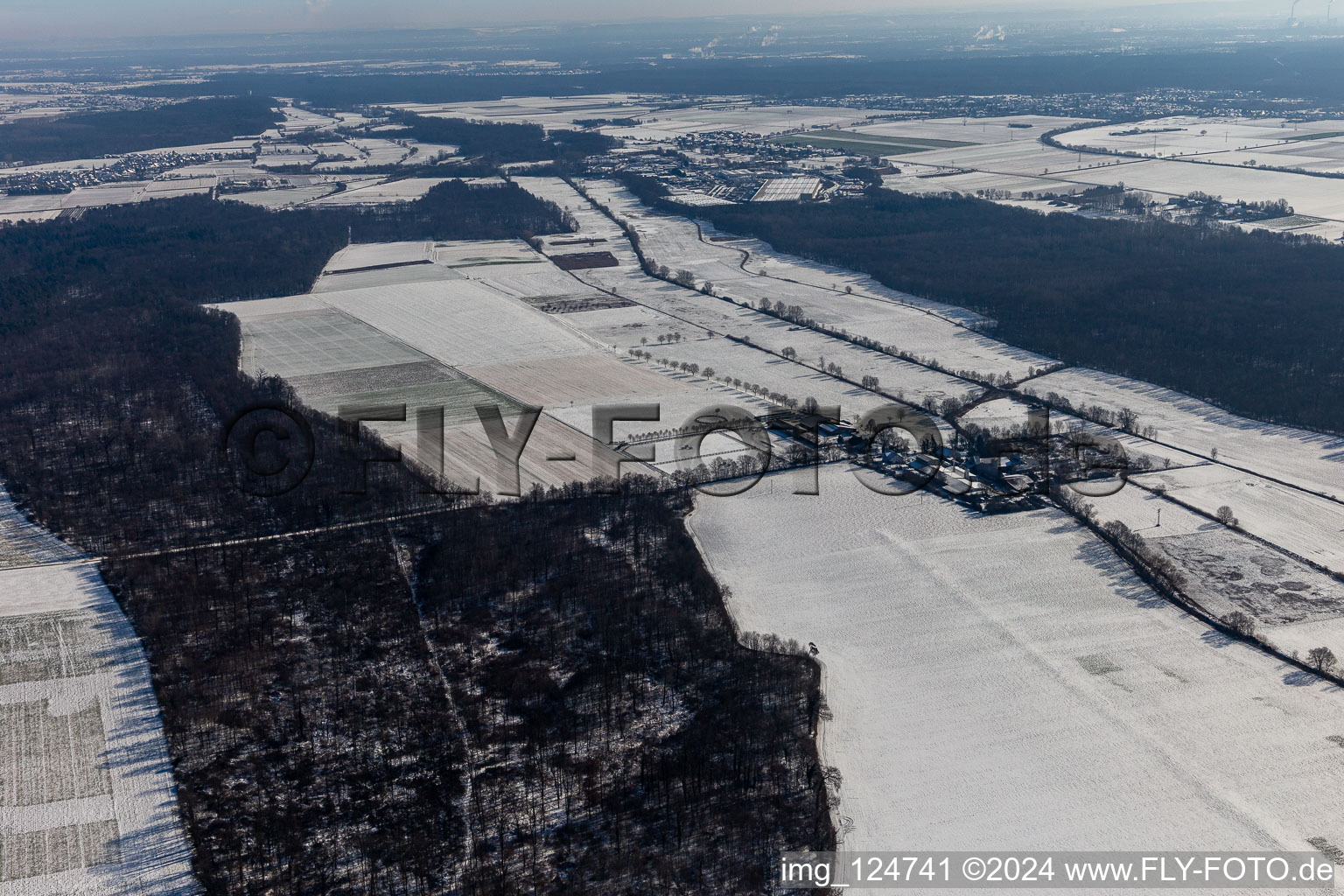 Winter aerial view in snow Palatino Ranch in Steinweiler in the state Rhineland-Palatinate, Germany