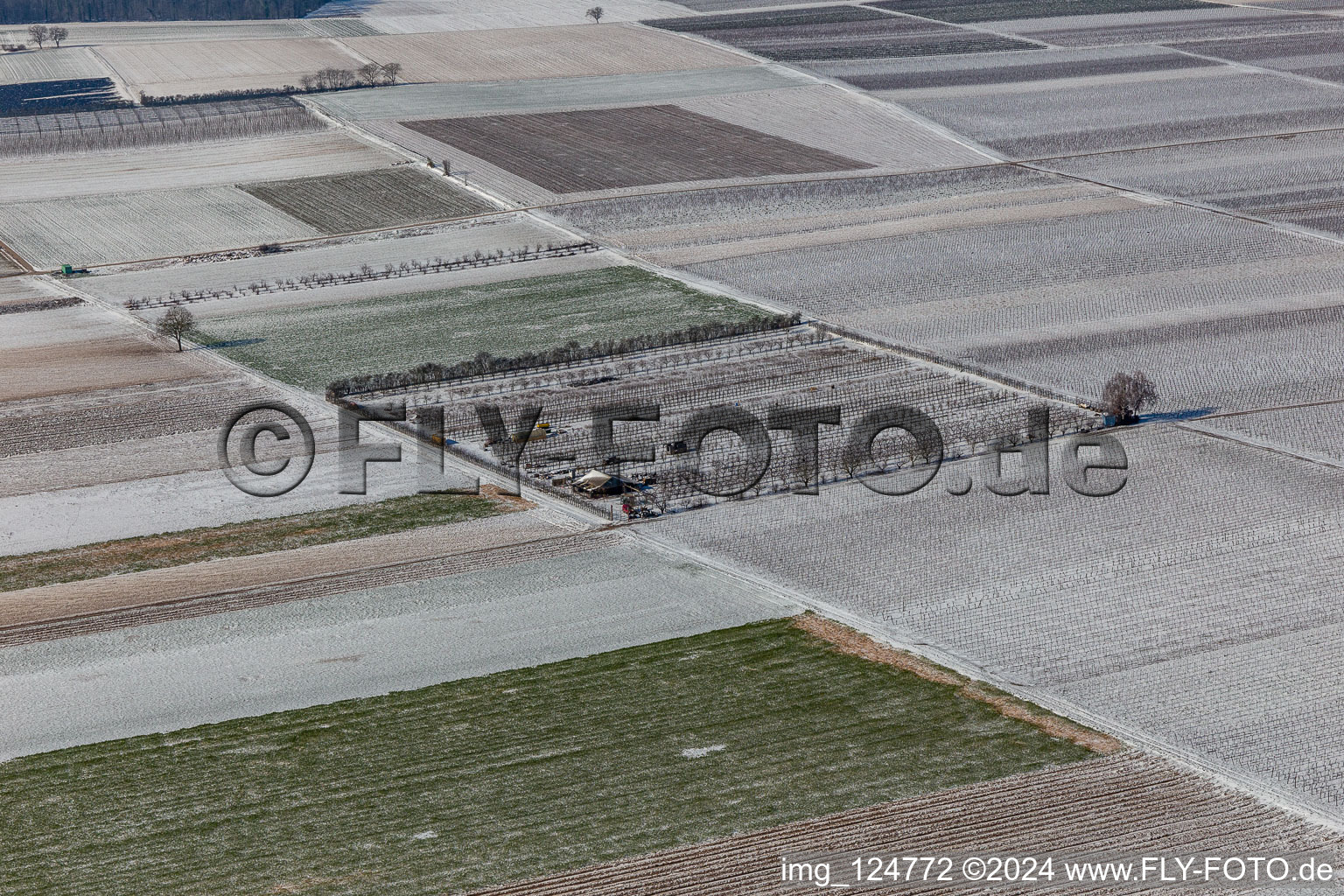 Aerial view of Winter aerial view in the snow in Billigheim-Ingenheim in the state Rhineland-Palatinate, Germany