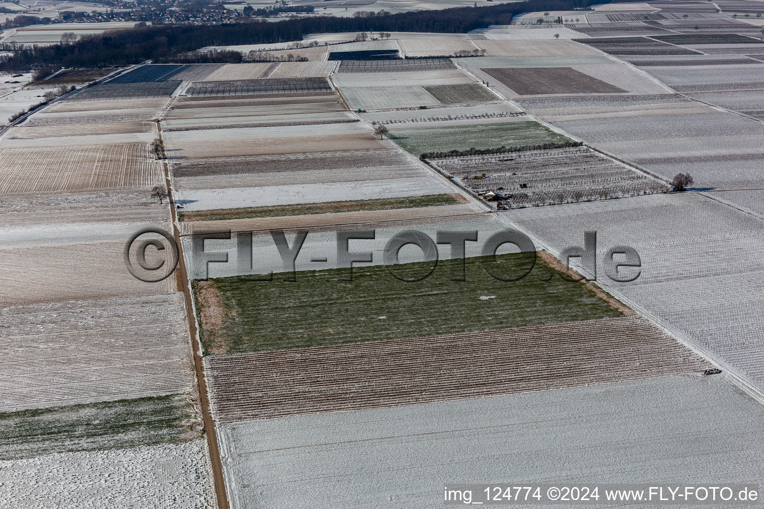 Aerial view of Winter aerial view in the snow in Billigheim-Ingenheim in the state Rhineland-Palatinate, Germany