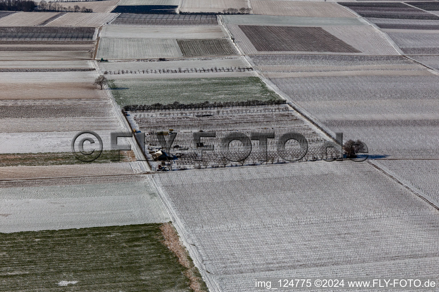 Aerial view of Winter aerial view in the snow in Billigheim-Ingenheim in the state Rhineland-Palatinate, Germany