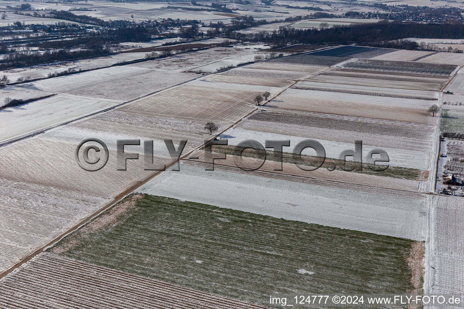 Aerial view of Winter aerial view in the snow in Billigheim-Ingenheim in the state Rhineland-Palatinate, Germany