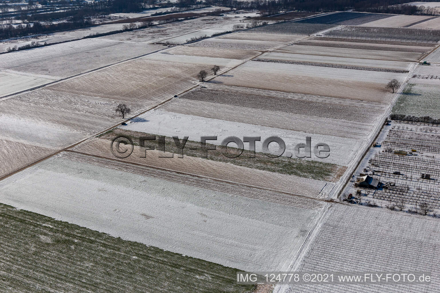 Aerial view of Winter aerial view in the snow in Billigheim-Ingenheim in the state Rhineland-Palatinate, Germany